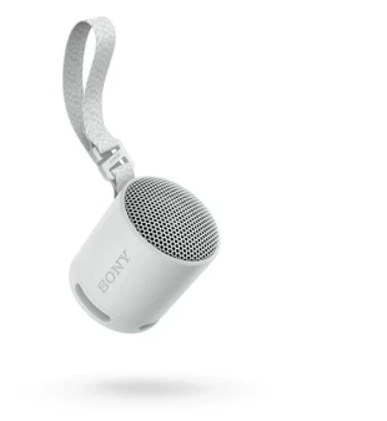 Sistem audio Boxa portabila SONY SRS-XB100H, Bluetooth v5.3, Fast-Pair, Clasificare IP67, Autonomie 16 ore, USB Type-C, Gri