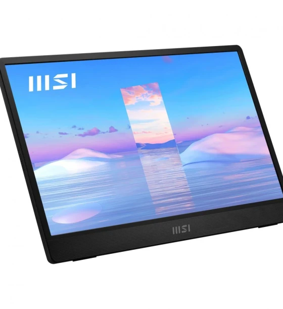 Monitor MSI 15.6 inch PRO MP161