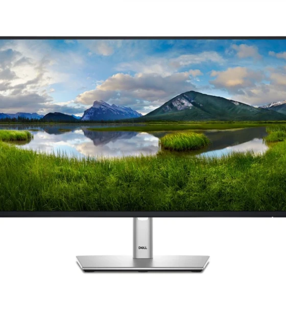 Monitor Dell 23.8 inch P2425H FHD 60.47cm, 100Hz, 5Ms