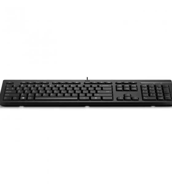 Tastatura HP 125 Wired Keyboard, Dimensiuni 6.3 x 11.2 x 3.6 cm, Greutate 0, 08 kg