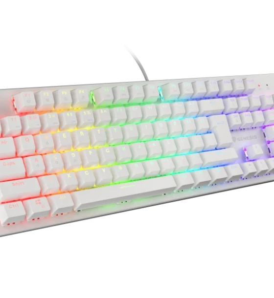 Tastatura gaming mecanica cu fir Genesis Thor 303, iluminare RGB, switch Tactile, switch model Outemu Brown, numar taste 104, 11 butoane multimedia, lungime cablu 1.8m