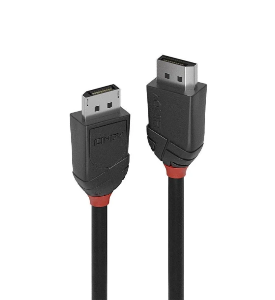Cablu Lindy DisplayPort 1.2, 2m, negru