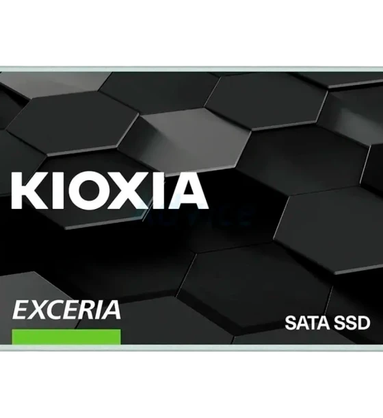 SSD- Interne Kioxia LTC10Z960GG8