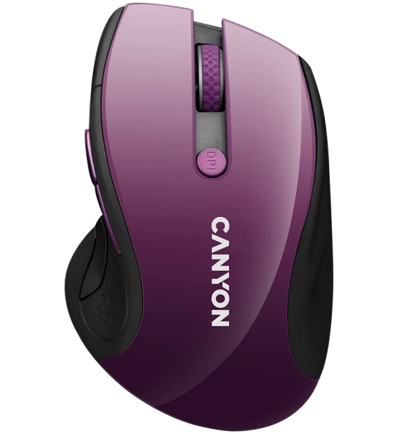 Mouse Canyon CNS-CMSW01P