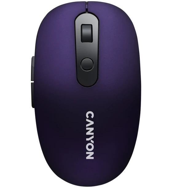 Mouse Canyon CNS-CMSW09V