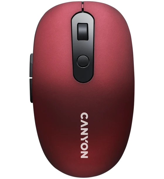 Mouse Canyon CNS-CMSW09R