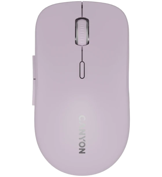 Mouse Canyon CNS-CMSW12P