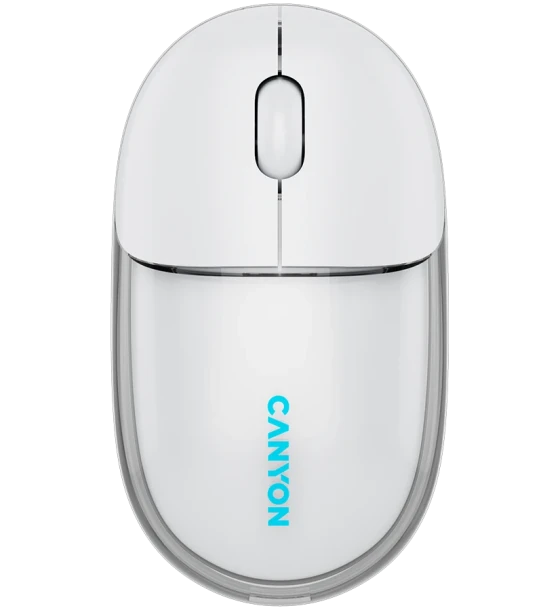 Mouse Canyon CNS-CMSW24W
