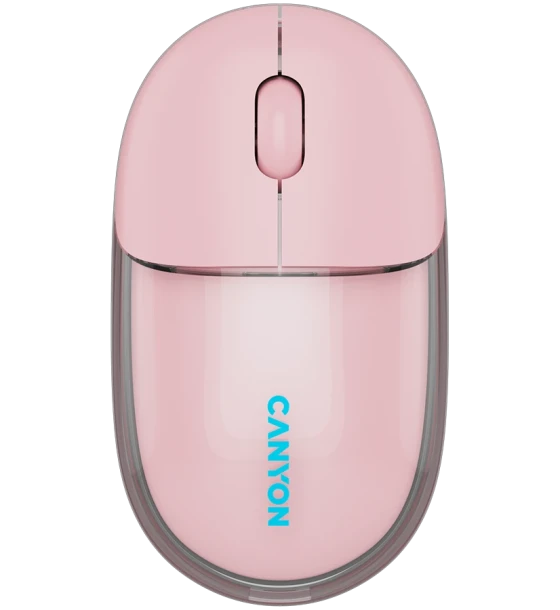 Mouse Canyon CNS-CMSW24P