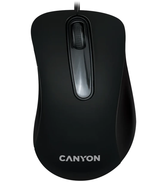 Mouse Canyon CNE-CMS2
