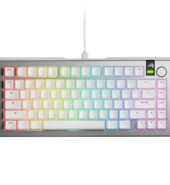 Tastatura mecanica GMMK 3 PRO 75% Prebuilt, USB-C, Fox Switches, US layout, 81 taste, Gri