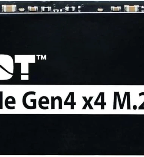 SSD- Interne P400, 1TB, PCIe Gen4 x4, M.2 2280